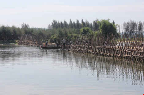 Quảng Ngãi xây đê 170 tỉ đồng ngăn mặn sông Trà Bồng
