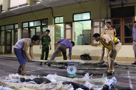 CSGT Bắc Giang bắt giữ 6 tạ gỗ sưa đỏ trong đêm