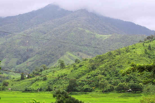 Chi trả DVMTR tại Kon Tum: Dân có thu nhập, rừng được bảo vệ