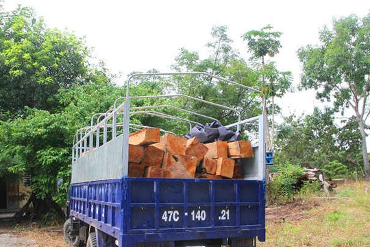 Gia Lai: Lại bắt một xe ô tô chở gỗ lậu