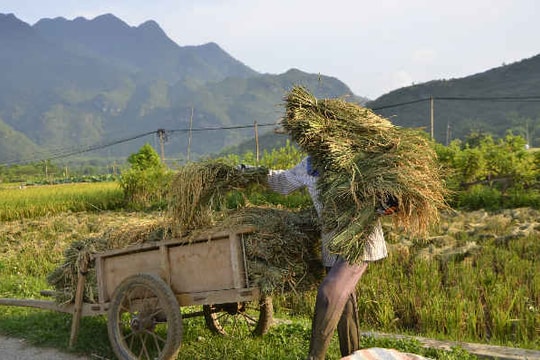 Nông nghiệp sạch - hướng đi bền vững