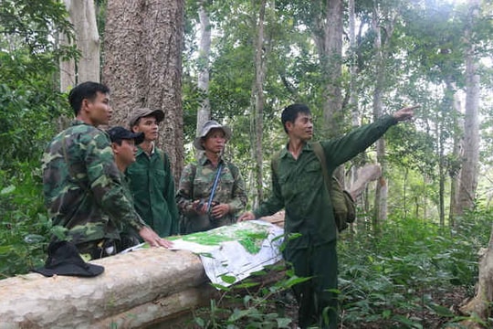 Tăng phí dịch vụ môi trường rừng