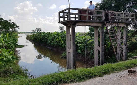 Ninh Bình: Dân mỏi mắt trông chờ dự án chống xâm nhập mặn