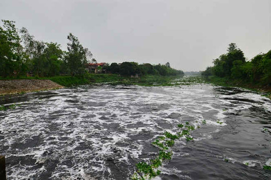 Sông Nhuệ ô nhiễm nặng, sản xuất nông nghiệp bị đe dọa