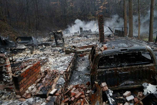 Mỹ: Cháy rừng nghiêm trọng khiến hơn 50 người thương vong