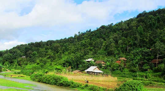 Điện Biên: Giữ rừng nhờ chính sách chi trả DVMTR