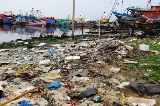 Đà Nẵng: Hạn cuối xử lý ô nhiễm tại Âu thuyền Thọ Quang