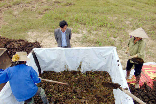 Nông dân xứ Nghệ biến bèo tây thành phân vi sinh