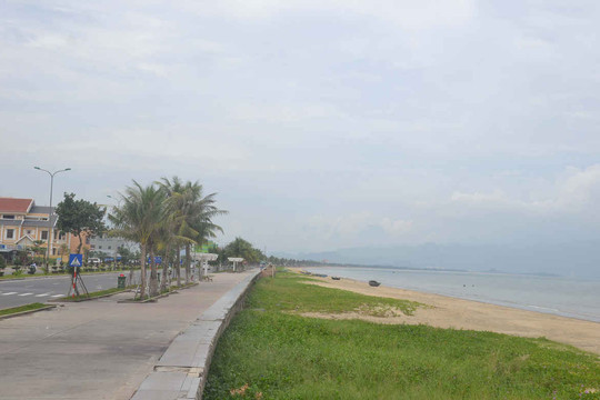 Chủ tịch TP Đà Nẵng yêu cầu giải quyết dứt điểm ô nhiễm biển Nguyễn Tất Thành
