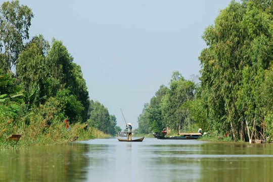 Cải tạo Đồng Tháp Mười thành kho dự trữ nước cho Nam Bộ