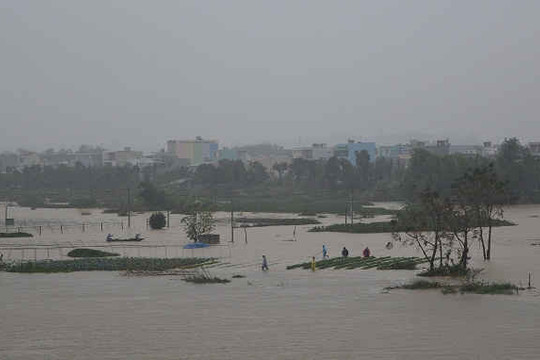 Đà Nẵng: Quy hoạch hợp lý để ứng phó lũ lụt