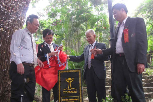 Đà Nẵng: Vinh danh 7 cây di sản tại danh thắng Ngũ Hành Sơn