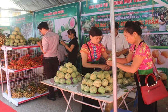 Sắp diễn ra Tuần hàng nông sản, thực phẩm an toàn Sơn La tại Hà Nội