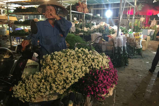 Rộn ràng chợ hoa Quảng Bá