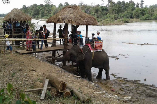 Đắk Lắk: Các điểm du lịch hút khách trong dịp Tết nguyên đán 2017