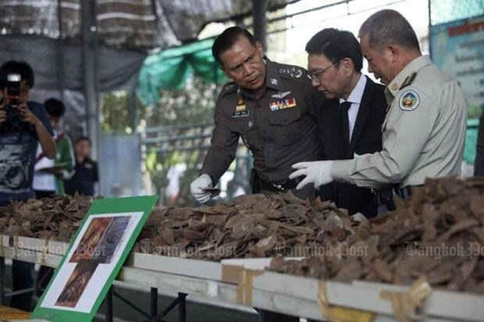 Cảnh sát Thái Lan tịch thu 3 tấn vảy của 6.000 con tê tê bị giết