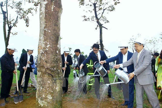 Bí thư Hà Nội: Việc bảo vệ cây xanh chưa được quan tâm đầy đủ
