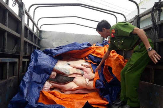 Bình Định: Phát hiện 2 vụ vận chuyển thịt heo bẩn