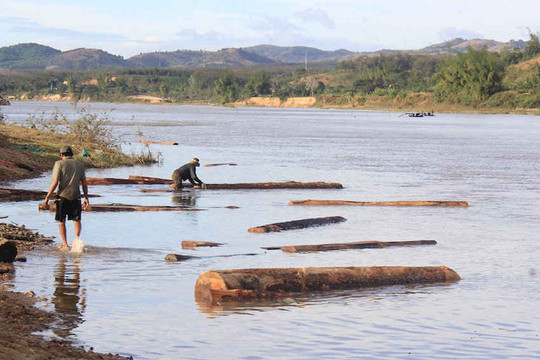 Kon Tum: Gỗ lậu trôi sông Đắk Bla, đã tìm thấy chủ gỗ