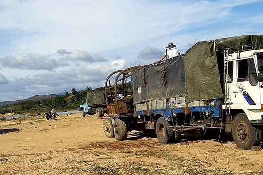 Kon Tum: Chủ gỗ lậu trôi sông Đắk Bla bị xử phạt nặng