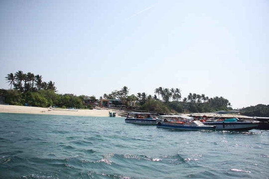 Thành lập Khu bảo tồn biển Lý Sơn