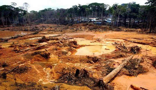 8.000km2 diện tích rừng Amazon bị tàn phá trong năm 2016