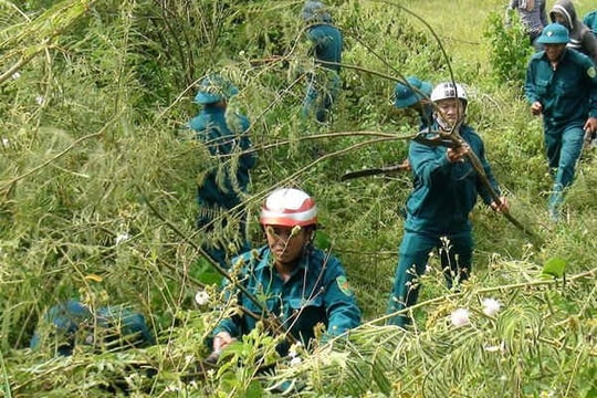 Buông lỏng quản lý sinh vật ngoại lai: "Được một... mất mười"