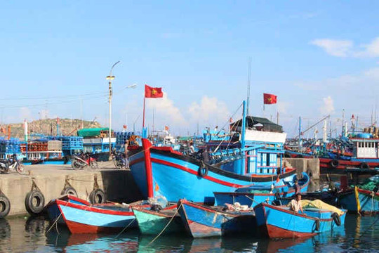 Bình Thuận: Điều tra tung tích chiếc tàu gây ra vụ tai nạn trên biển