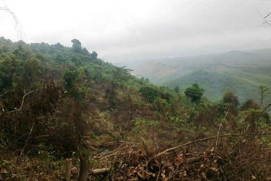 Quảng Bình: Kỷ luật 2 Chủ tịch xã để xảy tình trạng phá rừng đầu nguồn Khe Si