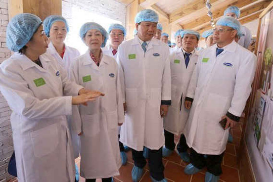 Vinamilk có trang trại bò sữa organic tiêu chuẩn Châu Âu đầu tiên tại Việt Nam