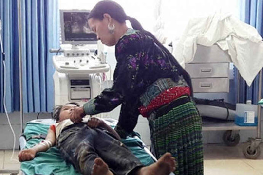 Lai Châu: 4 bệnh nhân cấp cứu do trúng độc lá ngón