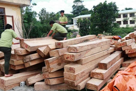 Quản lý, bảo vệ rừng giáp ranh giữa Quảng Nam và Sê Kông (Lào)