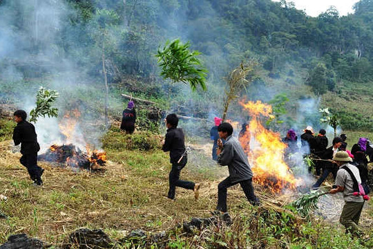 Điện Biên: Tăng cường công tác phòng cháy, chữa cháy rừng