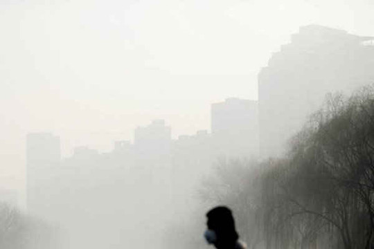 Bắc Kinh kêu gọi mở rộng không gian xanh, giới hạn về dân số