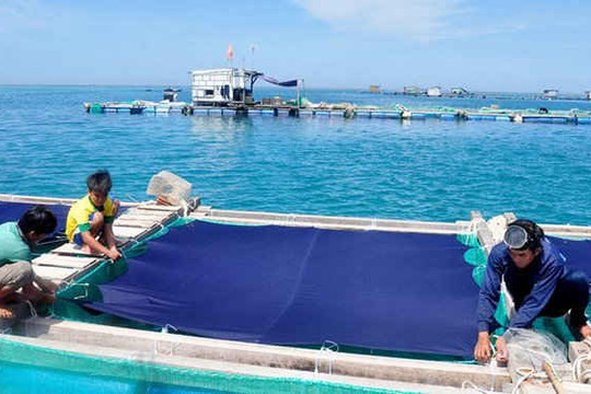 Quảng Ngãi: Áp lực kiểm soát nước thải ven biển