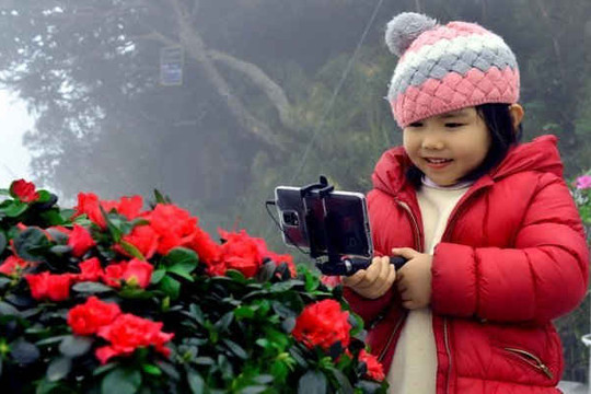 Du khách nô nức tham dự Lễ hội hoa đỗ quyên Fansipan