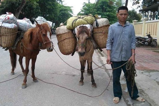 Điện Biên: Bắt giữ 4 đối tượng vận chuyển ma túy trái phép