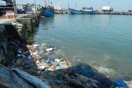 Thừa Thiên Huế: Ô nhiễm đe dọa cảng cá Thuận An