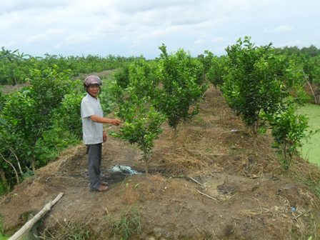 Phụng Hiệp (Hậu Giang):  Phải giải quyết quyền lợi cho người sử dụng đất