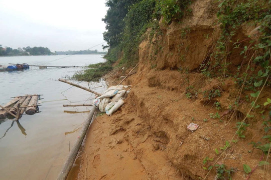 Thừa Thiên Huế: Thấp thỏm nổi lo sạt lở sông Bồ
