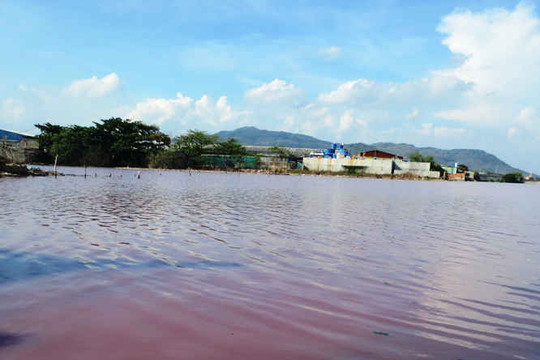 Bàn kế hoạch xử lý triệt để  ô nhiễm hồ nước màu tím
