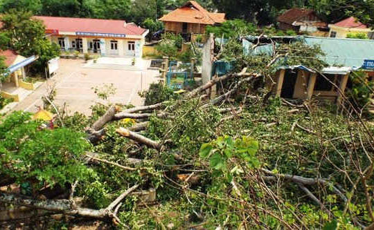Mường Lay – Điện Biên: Thiệt hại trên 5 tỷ đồng do mưa bão