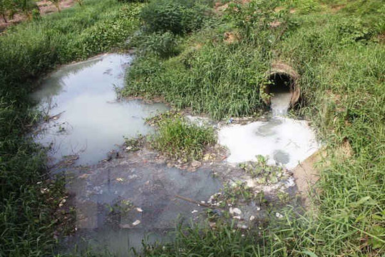 Ô nhiễm môi trường tại khu vực giáp ranh giữa Bình Thuận và Đồng Nai
