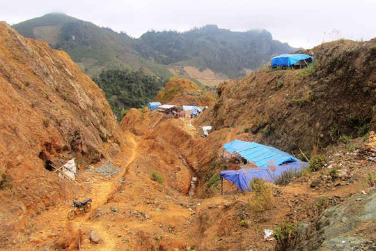 Điện Biên: Thu hồi đất và giấy phép khai thác tại mỏ vàng Phì Nhừ