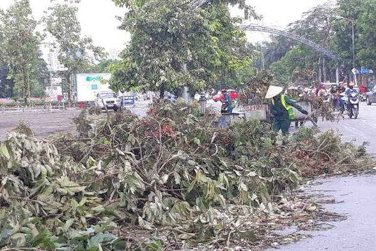 Nghệ An: Hàng nghìn tấn rác thải từ cây xanh gãy, đổ sau bão