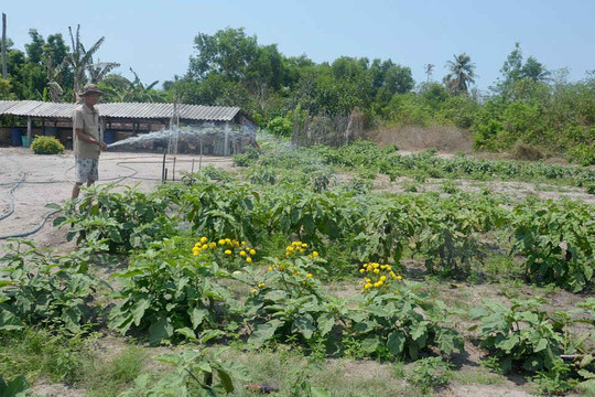 Bà Rịa – Vũng Tàu: Diện tích đất canh tác nông nghiệp ngày càng thu hẹp