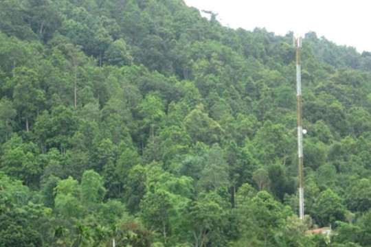 Giảm phát thải khí nhà kính thông qua hạn chế mất rừng, suy thoái rừng