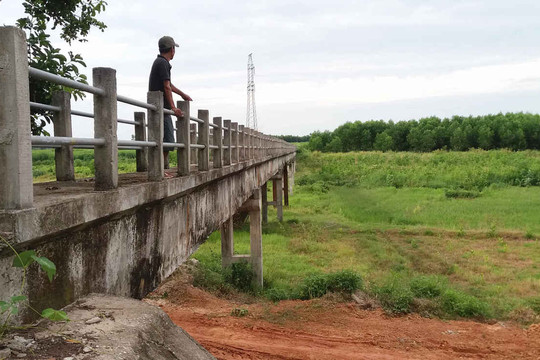 Thừa Thiên Huế: Phát hiện sai phạm hàng nghìn hecta đất ở, đất nông lâm ngư nghiệp