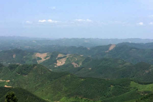 Bắc Giang: Thanh tra toàn diện công tác quản lý, sử dụng đất lâm nghiệp tại Yên Thế