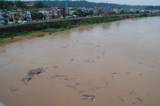 Lào Cai: Lũ lớn sông Hồng trên báo động cấp 1